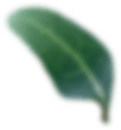 Background decoration